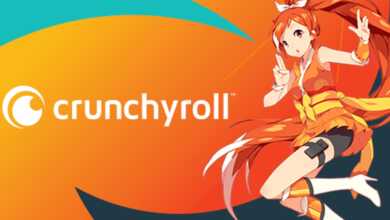 Dibalik Crunchyroll yang Sukses, Dahulunya Adalah Ilegal!