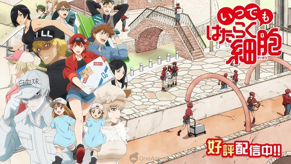 Hataraku Saibou Ada di Buku Ensiklopedia Bergambar Virus dan Bakteri!