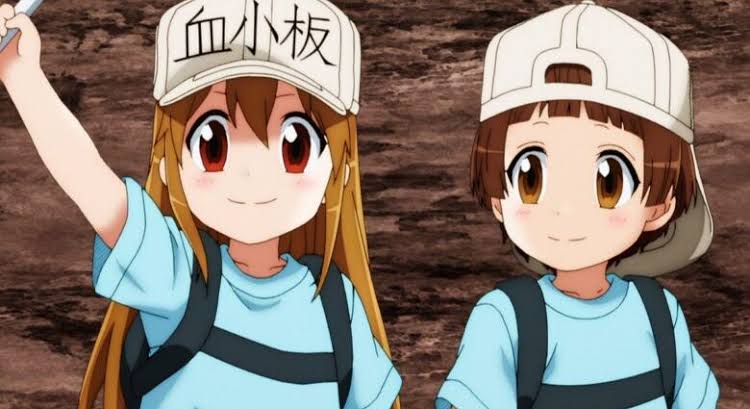 Terbaru! Manga Hataraku Saibou Terbitkan Bab Tentang Vaksin COVID-19 ﻿