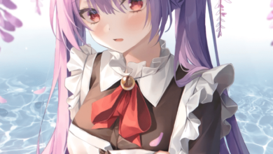 Warga Lokal Dengan Maid Costume Lagi Beken Di Jepang!