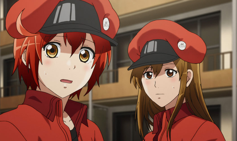 Hataraku Saibou Akan Tayang Di Saluran NET. TV