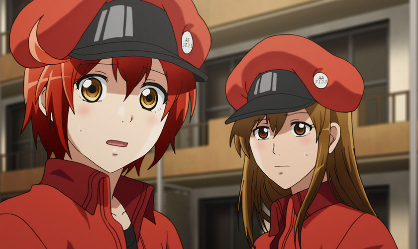 Hataraku Saibou Akan Tayang Di Saluran NET. TV