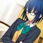 Komentar Tentang Fans Fate yang Membeli Tsukihime Remake