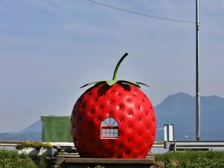 halte bus berbentuk buah stoberi