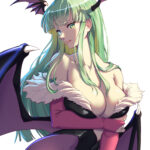 Deretan Succubus Terbaik Yang Ada Di Franchise Anime