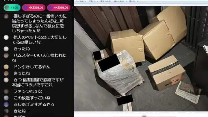 foto dari mafumafu dalam stream nya dengan korekore