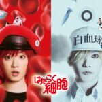 Hataraku Saibou Live Action: Cast, Sutradara, dan Sinopsis