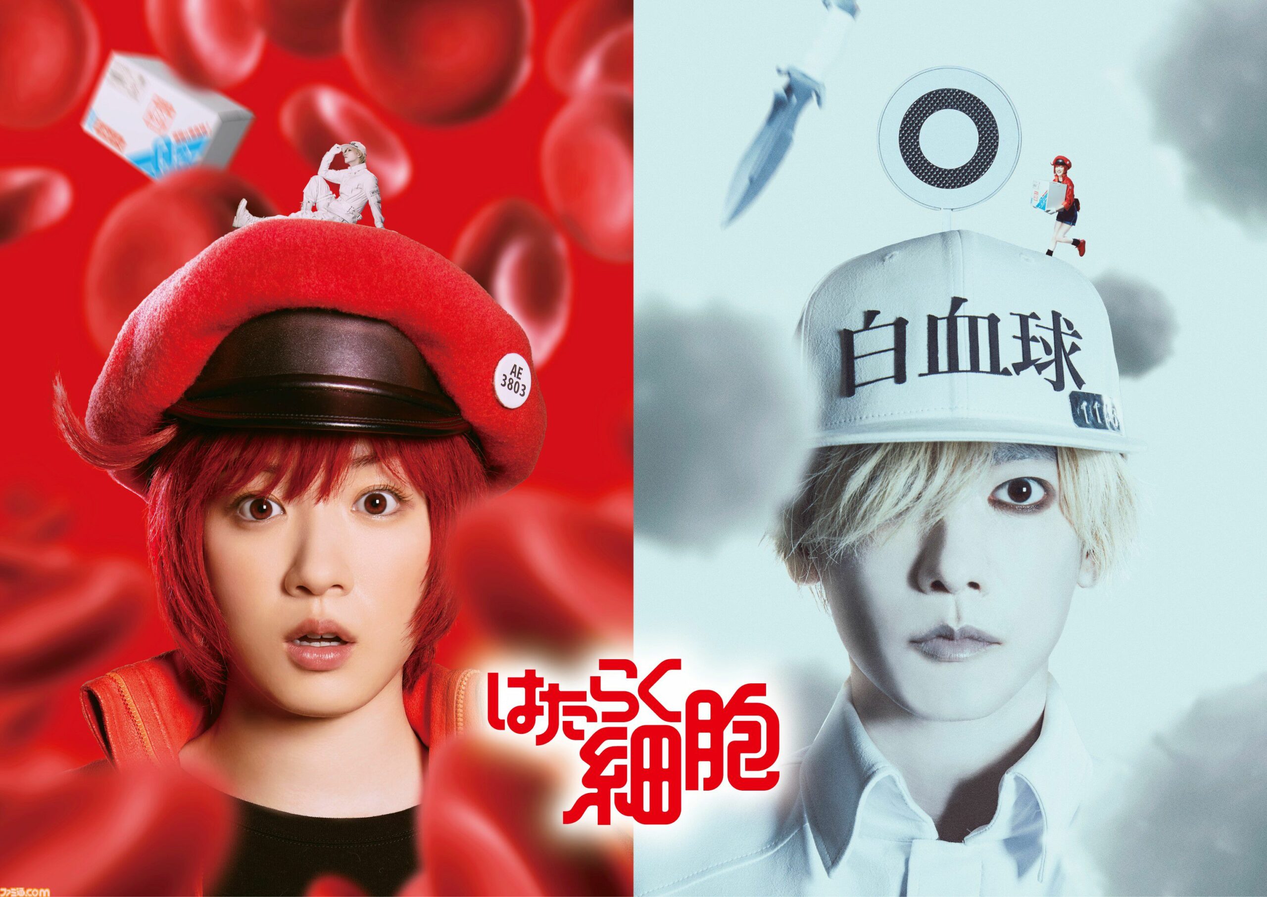 Hataraku Saibou Live Action: Cast, Sutradara, dan Sinopsis