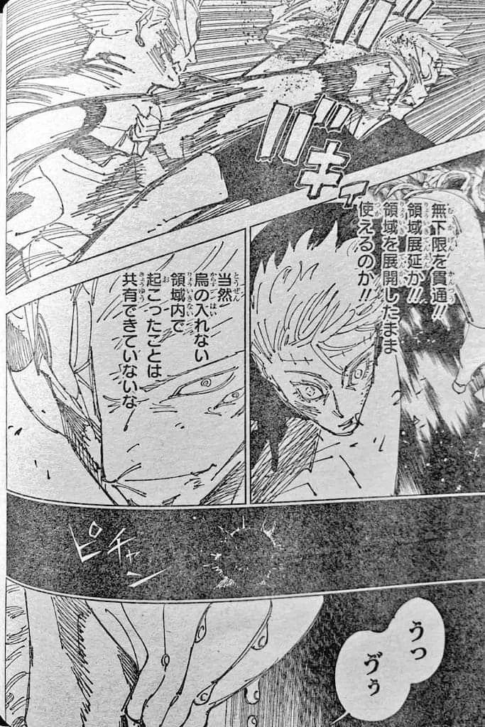 jujutsu kaisen 262